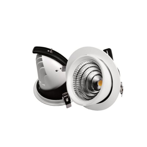 Downlight Basculante Philips Blanco 50W Frontal