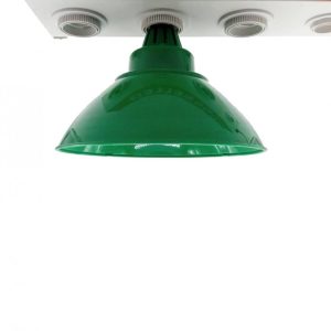 Bombilla 24W Verde Hortalizas y Frutas Instalado
