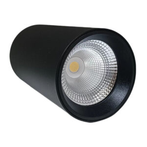 Aplique Interior Negro para techo 10W CCT IP20