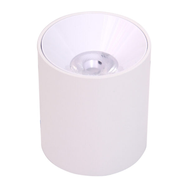 aplique de techo blanco