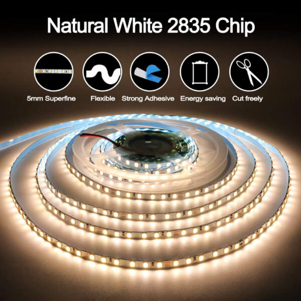 Tira de LED 5mm 24V 100W 10m 4K / TL5DC24-2835120-R10-4K - Imagen 3