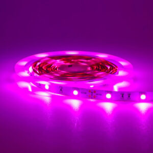 1m Tira LED Rosado para Neón Flexible de Segunda Generación 12V / NEON2-T6MM-RO