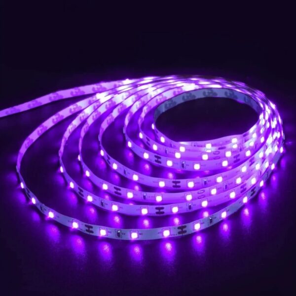 neon segunda generación color Violeta | Tira led color violeta 12v